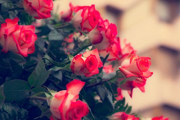 custom image custom image